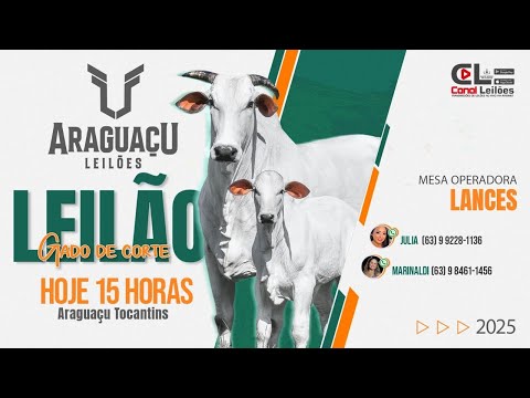 Leilão Gado de Corte Sind. Rural de Araguaçú - TO 07/03/2026