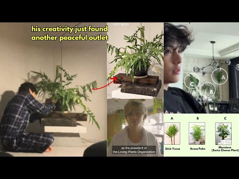 Taehyung is a plant dad now🌱✨ BTS  V is thriving and we're loving this wholesome vibe🐯