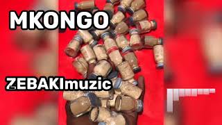Download lagu ZEBAKImuzic-MKONGO-(official music audio) mp3