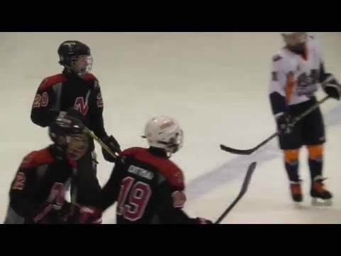 02 Novi Firecats vs. Flint Jr. Firebirds - 1st Period - 3/6/2016