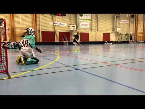 Goalietraining floorball