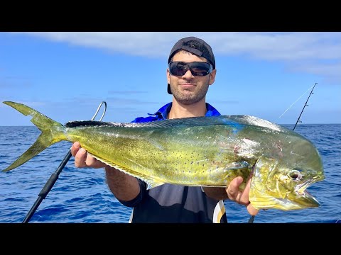 Hunting BIG Mahi Mahi off South Sydney's FADs Offshore, Fishing for Dorado and Bonito!