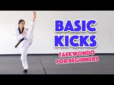 Learn Martial Arts: 3 Basic Kicks for Beginners