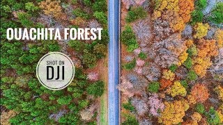 preview picture of video 'Ouachita National Forest - Shot on DJI (4K)'