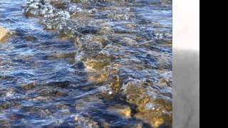 TE GUSTE O NO JUAN M  SERRAT CELYN RIQUE