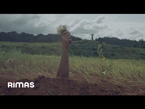 Mora - Reir o Llorar (Video Oficial)
