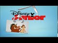 Disney Junior Sweden NEXT TIMON PUMBAA Ident