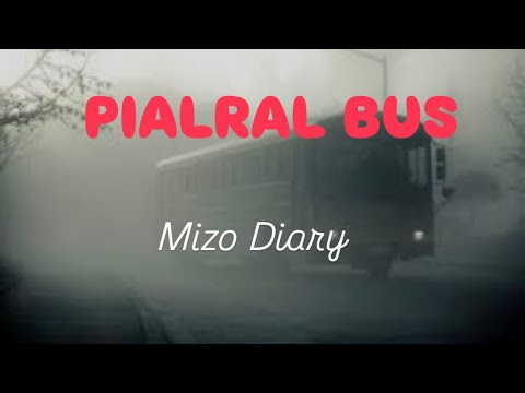 Bus dik lovah a chuang palh, eng thil nge a tawn tak?