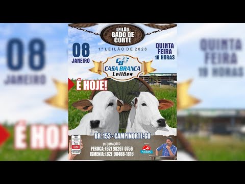 1.º LEILÃO 2026 CASA BRANCA LEILÕES -  CAMPINORTE - GO 08/01/2026