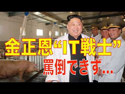 「金正恩を侮辱してみろ」沈黙した“北朝鮮IT戦士”…身バレの瞬間と巨額被害（高英起） - エキスパート - Yahoo!ニュース