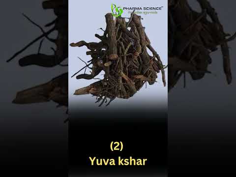 5 Ingredients of Pharma Science Best Ayurvedic Stone Medicine Stone 28 #aurveda 