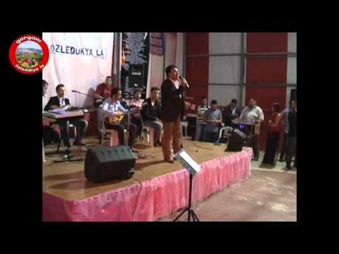 Seyfettin tomakin   çekerim turnam sineye