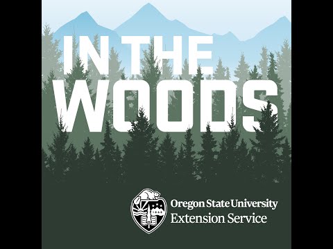 In the Woods - Episode 5: Fire