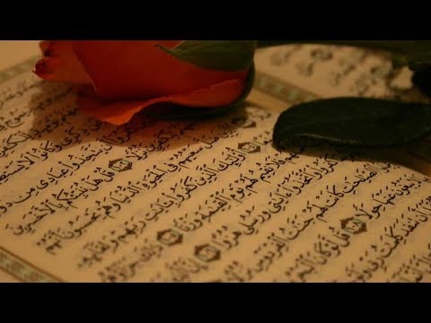 GDJE U KUR'ANU PIŠE DA ŽENA TREBA STAVITI MAHRAMU || dr. Safet Kuduzović