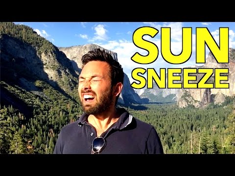 Are You a Sun Sneezer? You Are Definitely Not the Only One