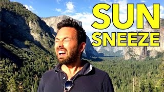 The Sun Sneeze Gene