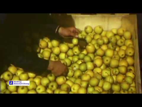 Deel 1 veiling Bangert en Omstreken