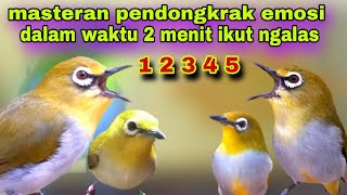 Download lagu Masteran !! Pancingan Pleci Bahan Biar Cepat Ngalas || Pleci ngalas Manggil Lawan mp3 Download lagu Masteran !! Pancingan Pleci Bahan Biar Cepat Ngalas || Pleci ngalas Manggil Lawan mp3