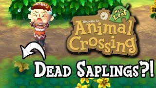 BUSH GUIDE :: Animal Crossing New Leaf - How To Prevent Dead Saplings!