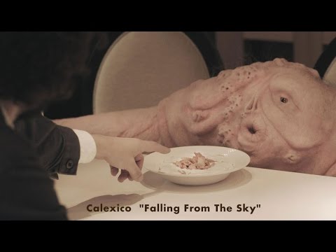 Falling From The Sky video