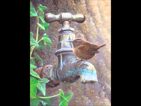 Milonga de los fortines - Orquesta Típica Víctor - Mariano Balcarce 1937.09.28