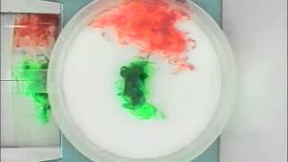 Experiment 0: Non-Rotating Fluids