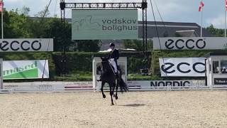 Daniel Bachmann Andersen & Blue Hors Zack - Champions danois 2019