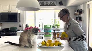 Cats Pride Lightweight Litter with Petia Mitchell