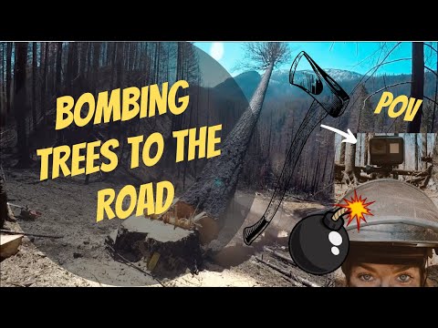 Sending giant trees to the road! (POV) - Wildfire clean up