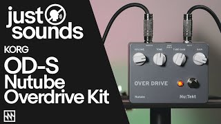 Video thumbnail for Just Sounds: KORG OD-S Nutube Overdrive Kit by Noisegate