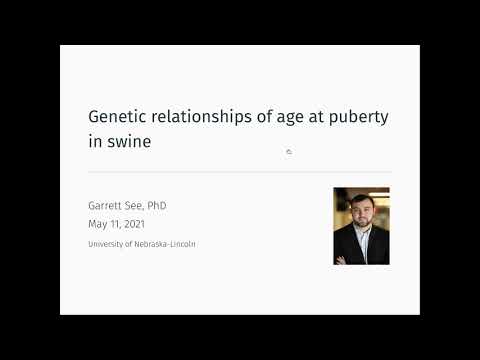 Genetic Relationships of Age at Puberty in Swine- Garrett See