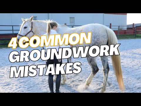 HorseClass &mdash; Common Groundwork Mistakes Handlers Make