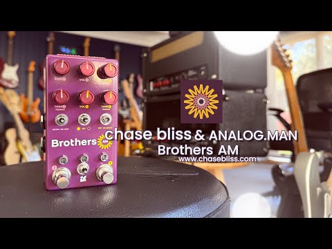 Chase Bliss & Analog.Man: Brothers AM