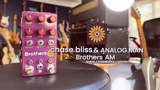 Video thumbnail for Chase Bliss & Analog.Man: Brothers AM by Brett Kingman