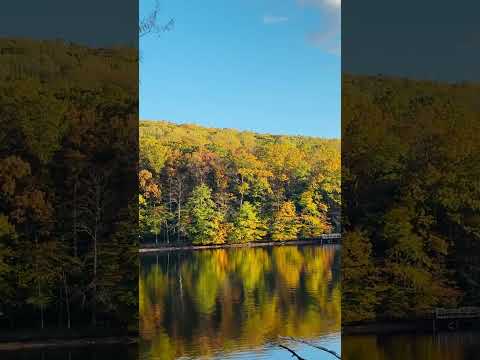 Awesome fall foliage of Catoctin Mountain,MD