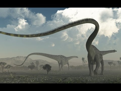 地球最大の生き物