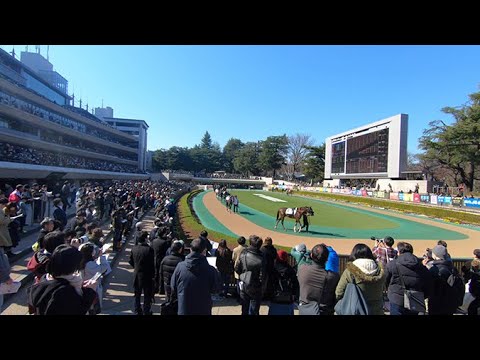 JRA Horse Racing at the Tokyo Racecourse 東京競馬場. 府中の大欅. 中文 · 한글.
