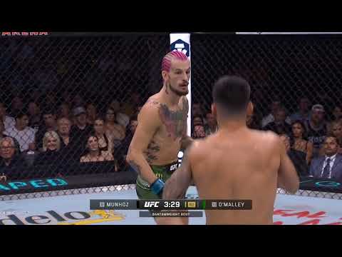 Sean O'Malley vs Pedro Munhoz Full Fight Full HD