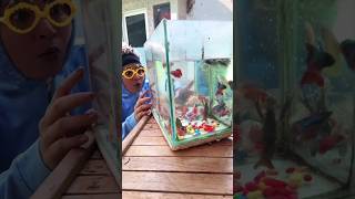 Download lagu BUY BETTA FISH | HILARIOUS TIKTOK NURRAYNI25 #drama #comedy mp3 Download lagu BUY BETTA FISH | HILARIOUS TIKTOK NURRAYNI25 #drama #comedy mp3