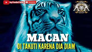 Download lagu story wa macan putih mp3
