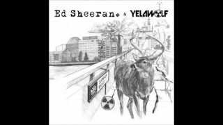 yelawolf ft ed sheeran - you dont know (for fuck&#39;s sake)