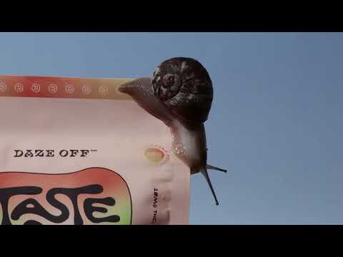 Snail's Day Out | Daze Off Taste Buds