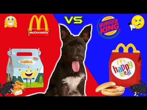 McDonald's vs. Burger King! Which food does my dog ​​prefer? Funny dogs Lana