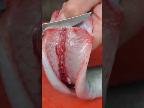 Eel SKINNING | For grilling/frying/pickling