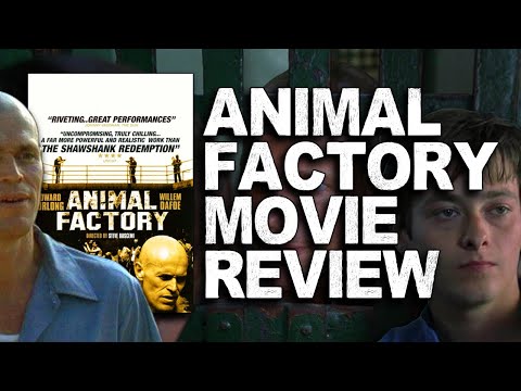 Animal Factory Is One Of The Most Rewatchable Prison Films Of The Past Two Decades