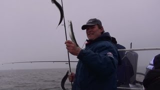 preview picture of video 'Auf Hering vor der Halbinsel Peenemünde, Heringsangeln vom MolaBeach-Charterboot mit Guide'