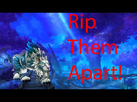 Rip them apart - Feral druid pvp - Shadowlands 9.0.5
