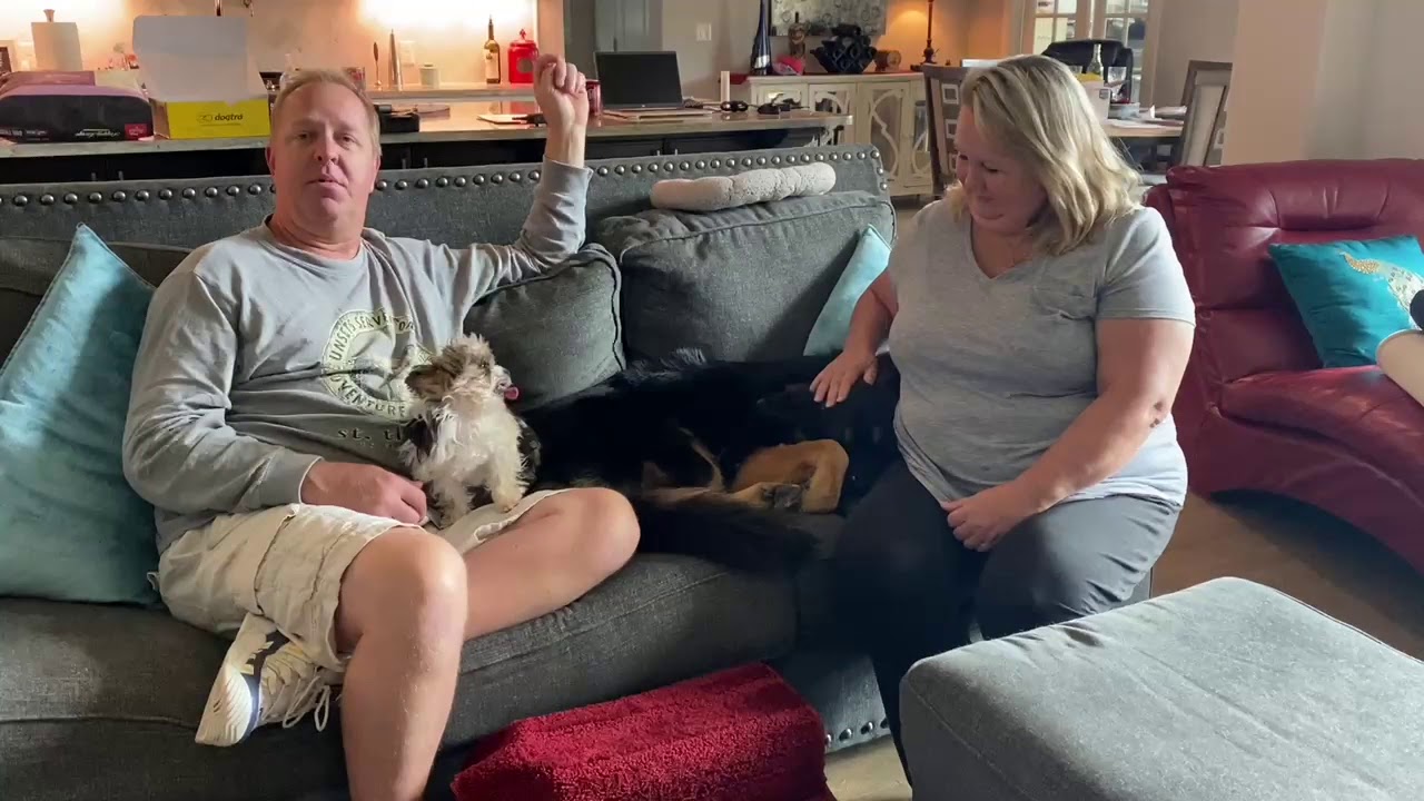 Tip Top K9 Reviews | Tulsa Obedience Training | Tip Top K9 | Leo