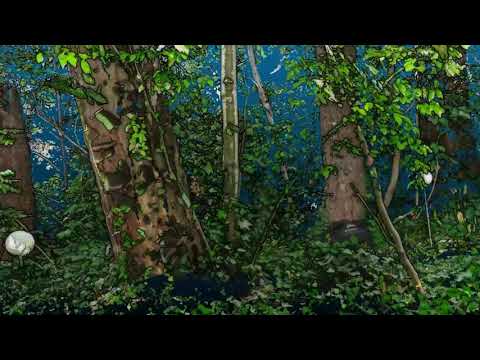 FARO s350 forests and shrubs