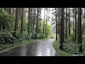 Bobby Vinton   Rain Rain Go Away(With Lyrics)